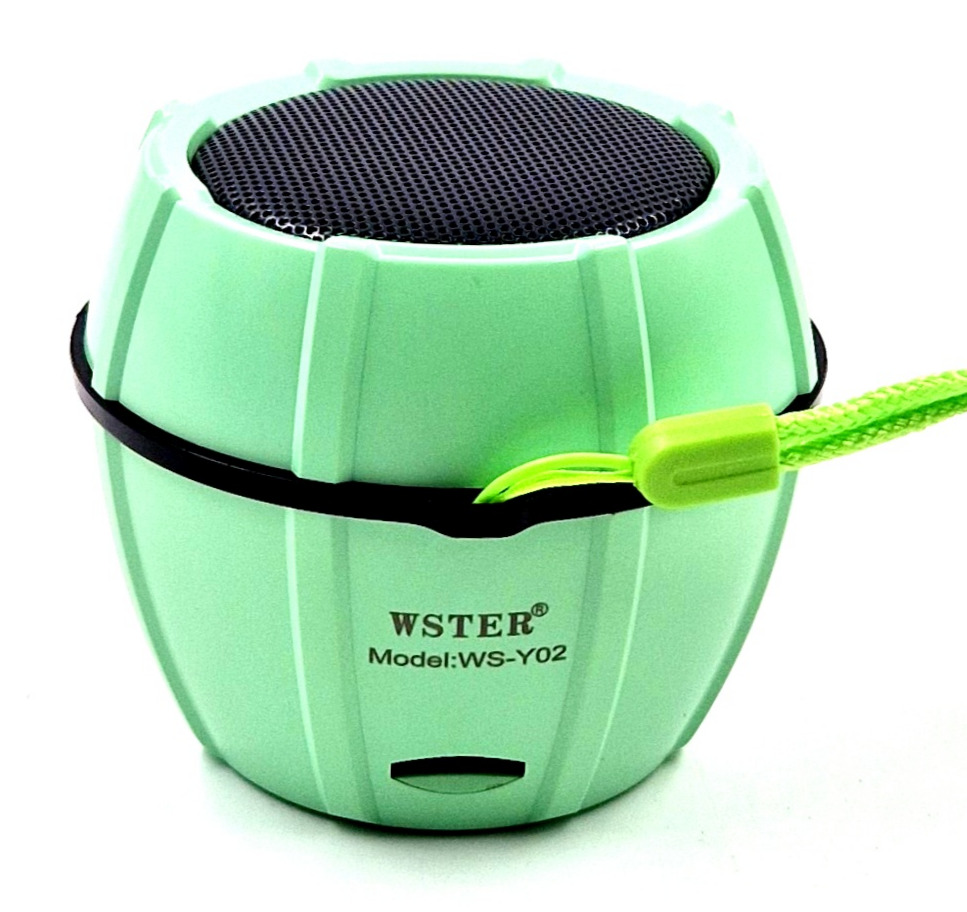 Mini enceinte portable sans fil WSTER WS-Y02