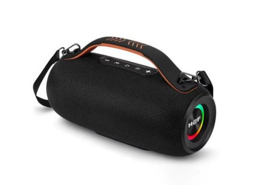 Enceinte sans fil portable H@F GU‑133